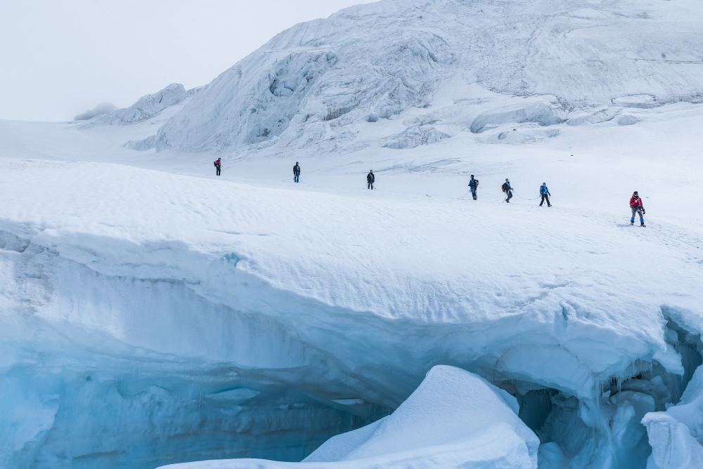Arctic Expedition